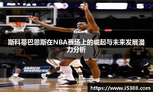 美嘉体育官网