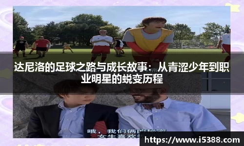 美嘉体育app